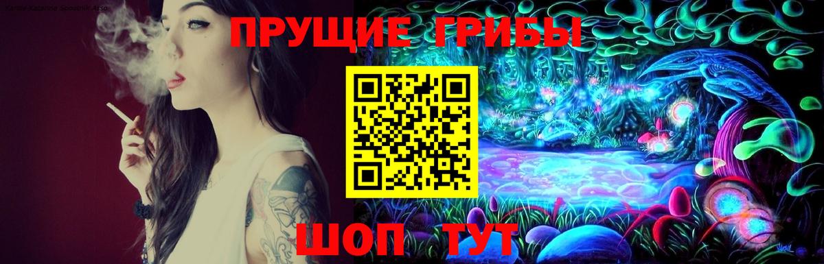 Большой Камень  Галлюциногенные грибы Cubensis  наркотики  Галлюциногенные грибы Psilocybine cubensis  Вход с VPN 